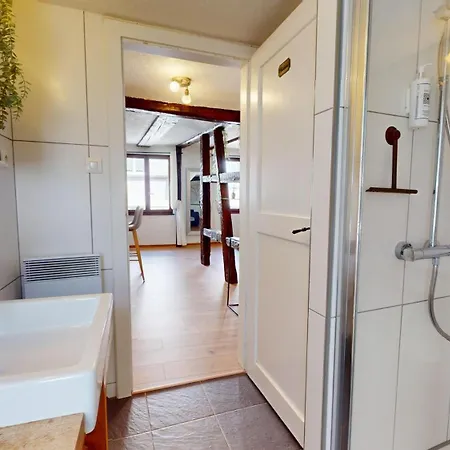 Apartman Au Petit Vauban 2 & Parking