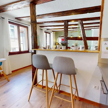Appartement Au Petit Vauban 2 & Parking Colmar