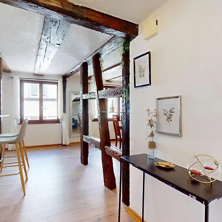 Au Petit Vauban 2 & Parking Apartman Colmar