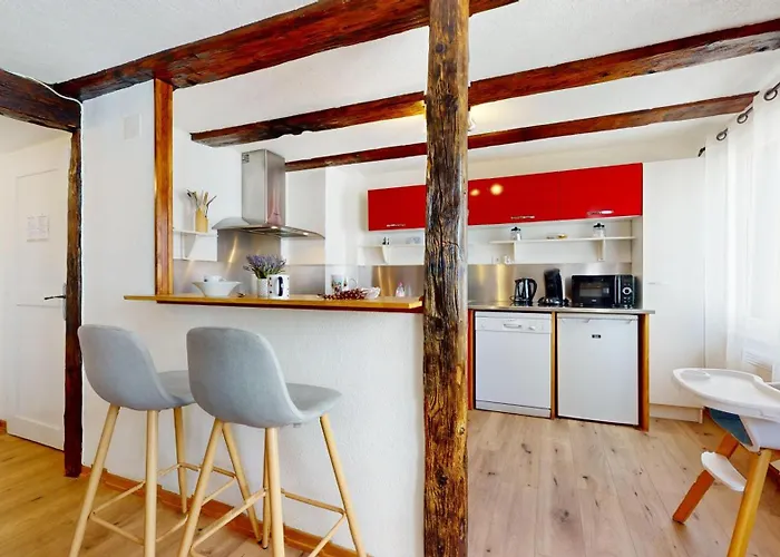 Au Petit Vauban 2 & Parking Apartmán