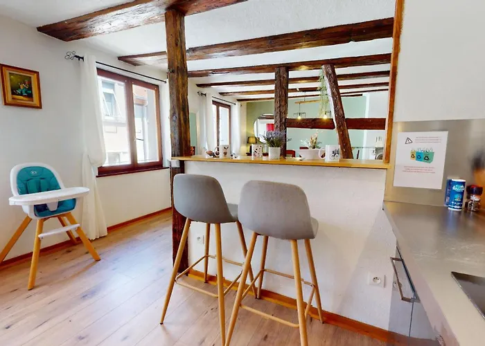 Appartamento Au Petit Vauban 2 & Parking Colmar
