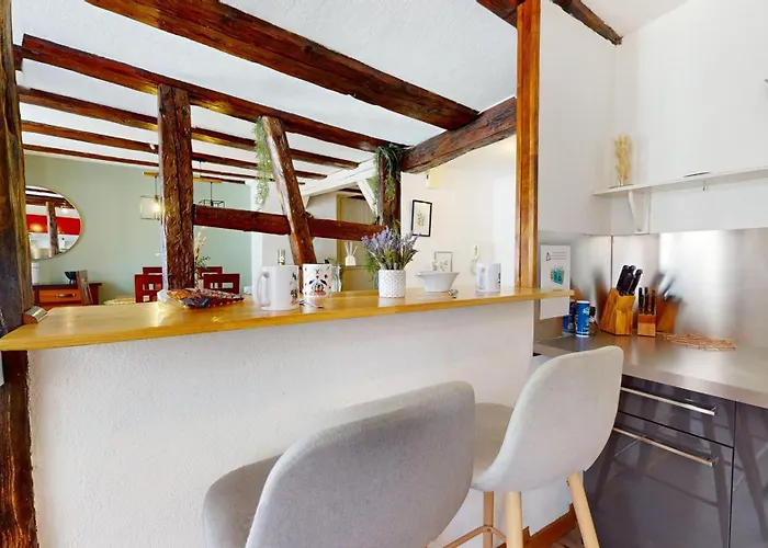 Appartamento Au Petit Vauban 2 & Parking *