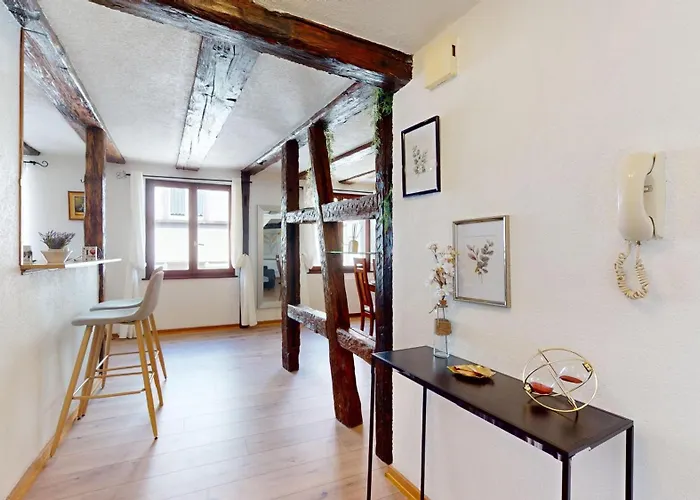 Au Petit Vauban 2 & Parking Appartamento Colmar